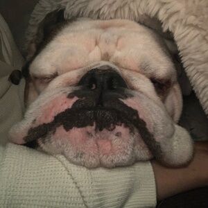 Meet your Posher, Pam